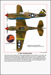 "P-40L Warhawk" Tuskegee Airmen Print by Jerry Taliaferro